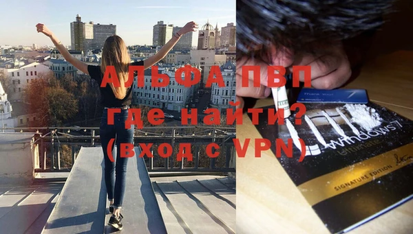 винт Алзамай