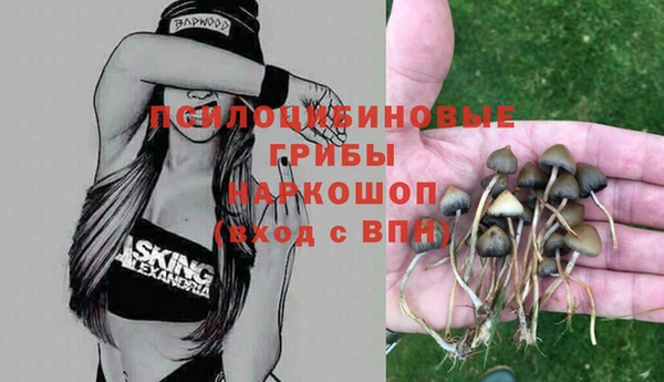 кристаллы Абинск