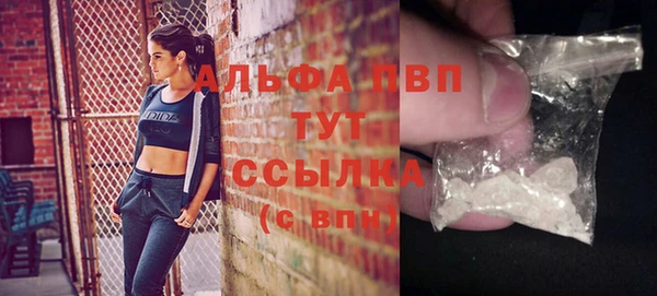 PSILOCYBIN Абаза