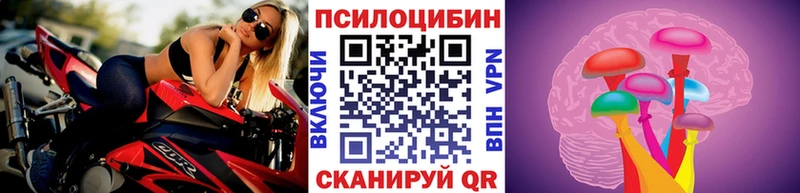 Галлюциногенные грибы Magic Shrooms  хочу   кракен как войти  Хасавюрт 